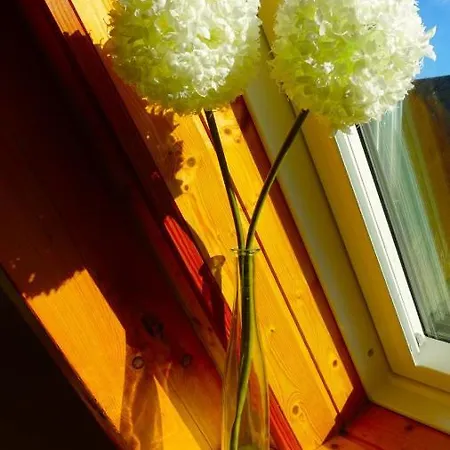 Ferienhaus Meeresbrise Semesterbostad Damp